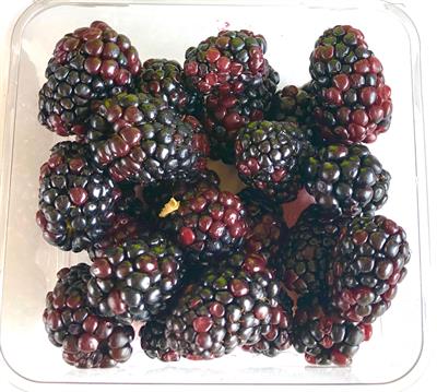 ShinyFruit: interactive fruit phenotyping software and its application in blackberry